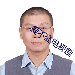 愛不懂電視劇