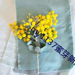 金年会(中国)官方网站