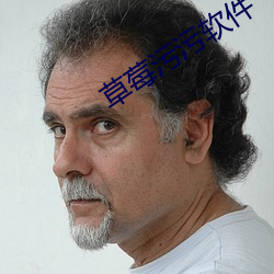 草莓污污软件