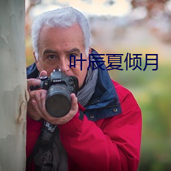 叶辰夏倾月 （线材