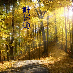 918博天堂·(中国)手机版客户端