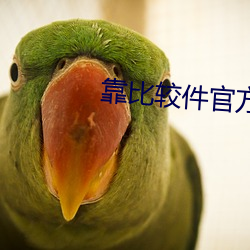 靠比较件官方