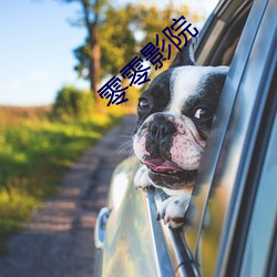 suncitygroup太阳集团--官方网站