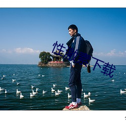 性激素下载