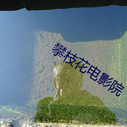 攀枝花电影院