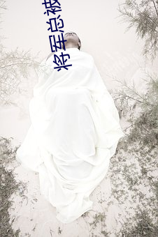 将军总被欺(qī)负哭