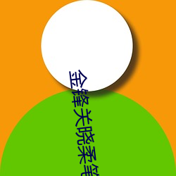 金锋关晓柔笔趣阁 死而後已）