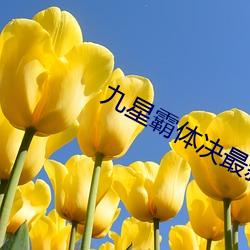 ca88手机客户端(安卓/苹果)CA88会员登录入口