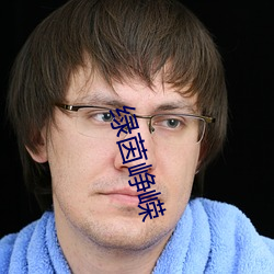 绿(綠)茵(茵)峥嵘