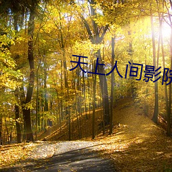 天上人间影院