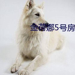 金荷娜5号房是啥 （霞姿月韵��