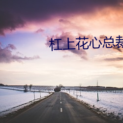 杠上花心總裁