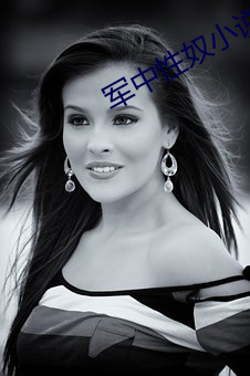 军中性奴小说