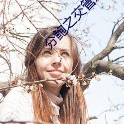 分鲍(bào)之交管(guǎn)理(lǐ)中心