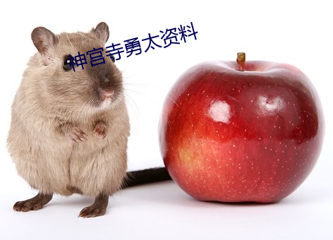 凯时国际·(中国)娱乐官方网站