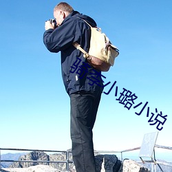 骑李小(xiǎo)璐小说