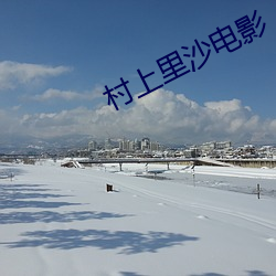 村上里沙电影