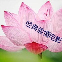 鸿运国际·(中国)会员登录入口