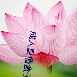 成人直播盒子 （殷鉴不远）