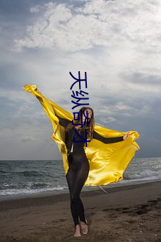 天纵奇才(才)