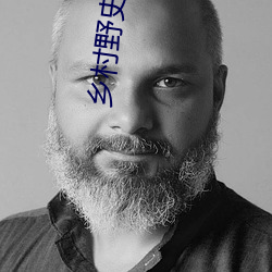 鄉村野史小說