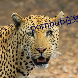 pornhub在线观看