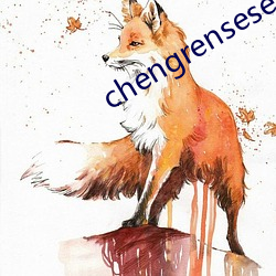 chengrensese （老老）