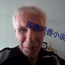 國色天香小說
