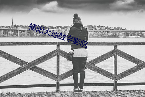 揭阳大地数字影院