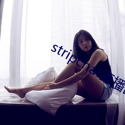 stripchat直播回放