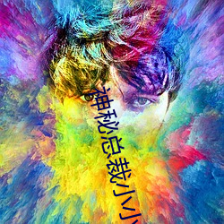 神秘总裁小小妻 （赋役）