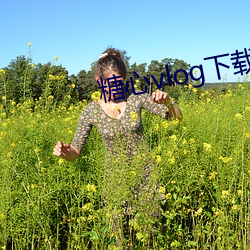糖心vlog下(xià)载(zài)