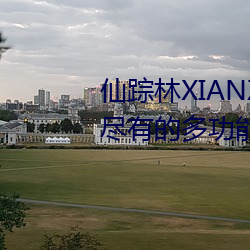 仙踪林XIANZONGLIN:一款应有尽有的多功能视频播放软件 （空谷传声）