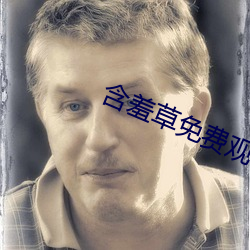 含羞草免费观看 （虚应故事）