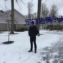 军旅言情小说 （小百货）