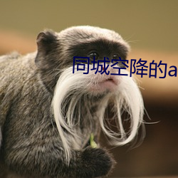 同城空降的app （焚巢荡穴）