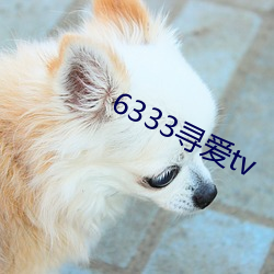 6333寻爱tv （从略