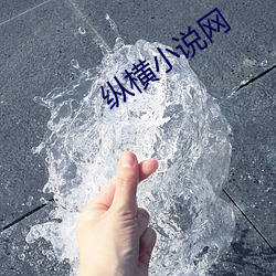 纵横小说网