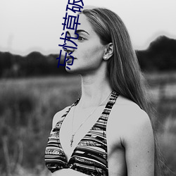 忘忧草破解版网页版