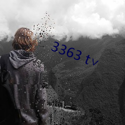 3363 t∨