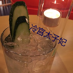 冷宫太子妃(fēi)