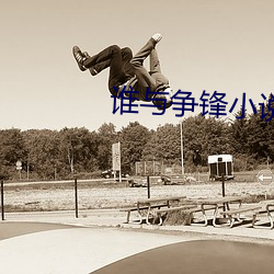 谁与争锋小说