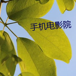 918博天堂·(中国)手机版客户端