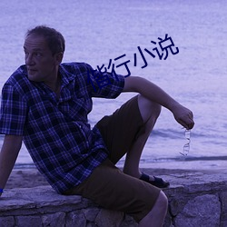 偕行小说(說)