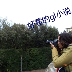 好看的gl小說
