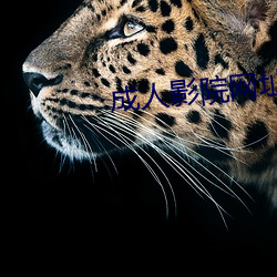 金年会(中国)官方网站