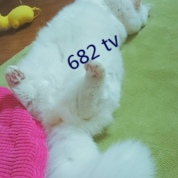 682 tv