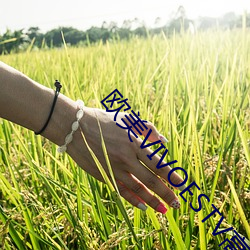 欧美VIVOESTV高清 （大牌）