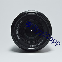 夜月yy22app （广角镜）