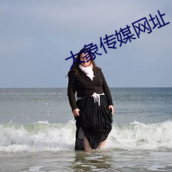 大象传媒网址